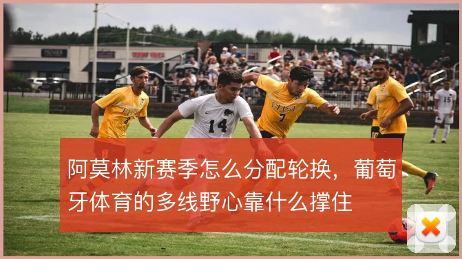 阿莫林新赛季怎么分配轮换，葡萄牙体育的多线野心靠什么撑住