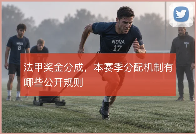 法甲奖金分成，本赛季分配机制有哪些公开规则